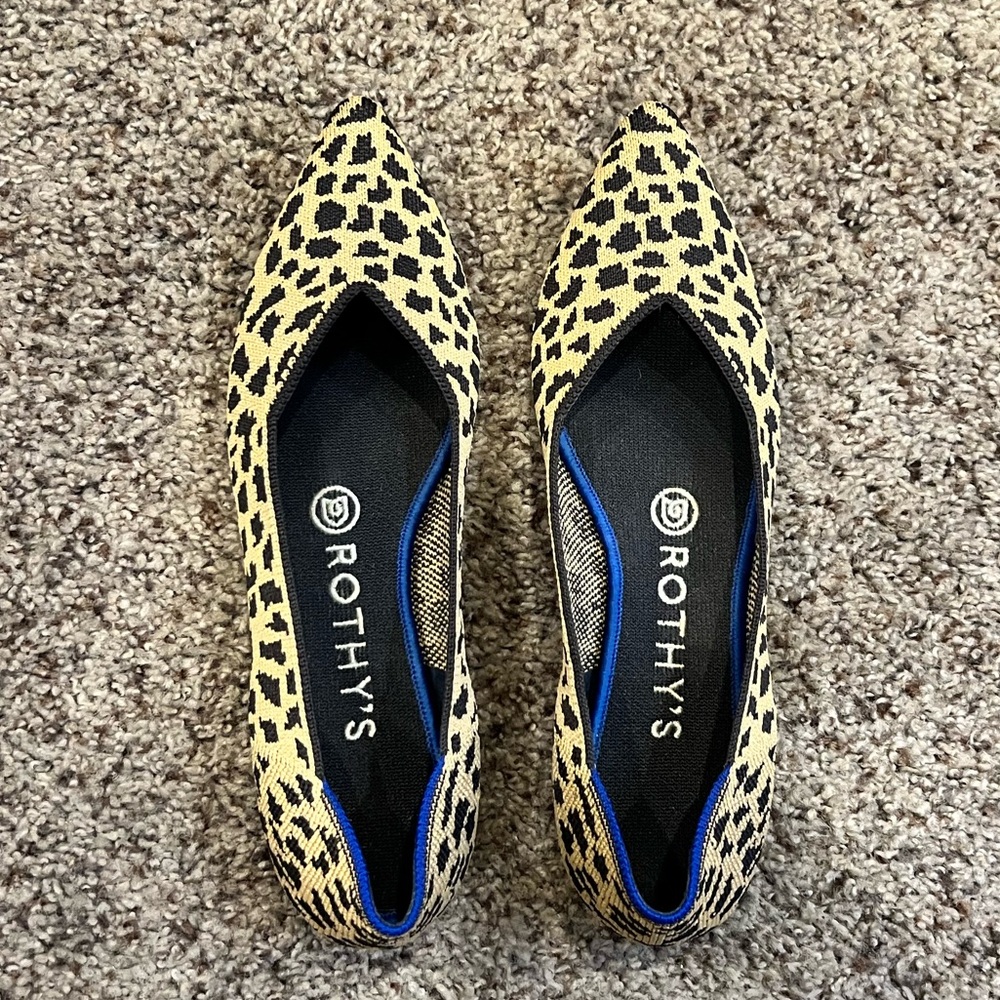 Rothy’s Pointed Ballet Flat